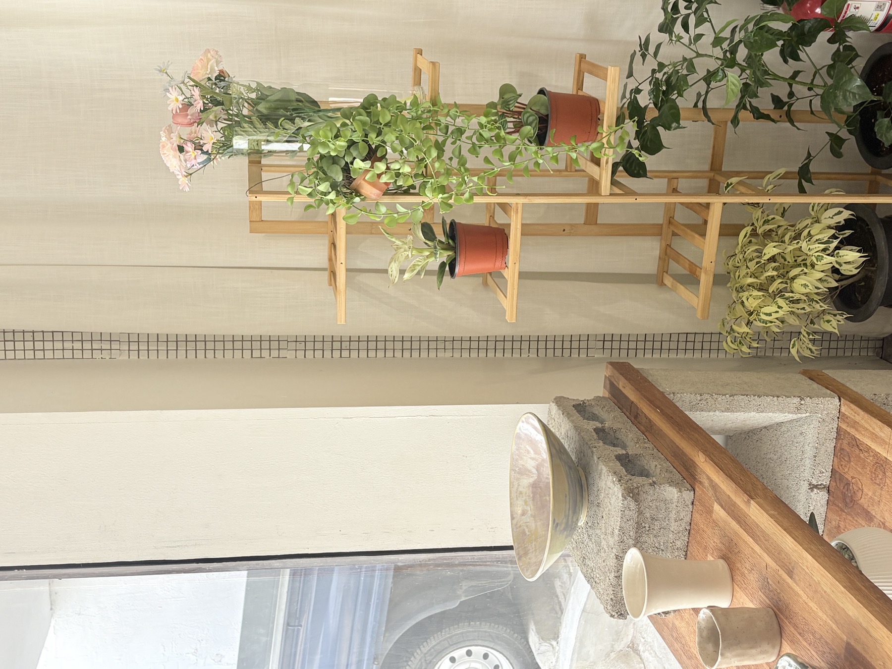Studio plants and ceramic pieces